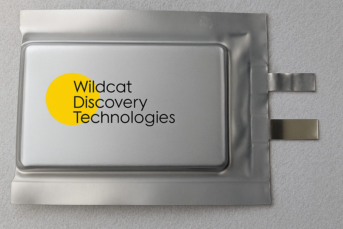 Wildcat and EnergyX to Build 15,000-Tonne LFP Cathode Plant in Texas for EV Battery Manufacturing